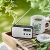 Radio ADLER AD 1907 Radio ADLER AD 1907