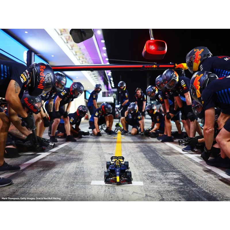 LEGO TECHNIC 42206 Oracle Red Bull Racing RB20 LEGO TECHNIC 42206 Oracle Red Bull Racing RB20