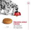 ROYAL CANIN SHN Medium Adult - dry dog food - 15kg ROYAL CANIN SHN Medium Adult - dry dog food - 15kg