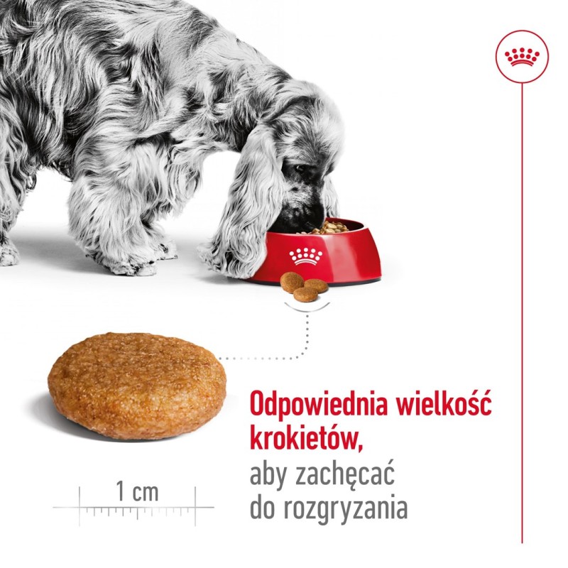 ROYAL CANIN SHN Medium Adult - dry dog food - 15kg ROYAL CANIN SHN Medium Adult - dry dog food - 15kg