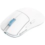 WIRELESS MOUSE DEFENDER FAME GM-516 RF+BT 10000DPI 6P WHITE