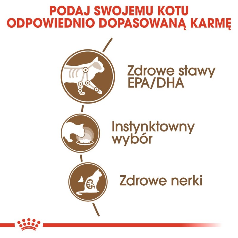 ROYAL CANIN FHN Ageing 12+ in jelly - wet cat food - 12X85g ROYAL CANIN FHN Ageing 12+ in jelly - wet cat food - 12X85g