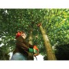 Black & Decker PS7525-QS electric pruner Black, Orange 3.5 cm 18 V Lithium Black & Decker PS7525-QS electric pruner Black, Orange 3.5 cm 18 V Lithium