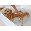 KERBL MagicBrush Bath Brush for Dogs and Cats with 100 ml Container - 11.5x7.5 cm KERBL MagicBrush Bath Brush for Dogs and Cats with 100 ml Container - 11.5x7.5 cm