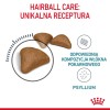 Royal Canin Hairball Care cats dry food 10 kg Adult Corn, Poultry, Rice, Vegetable
