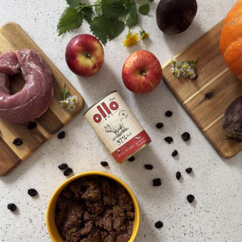 OLLO Pure Pork - wet dog food - 850g