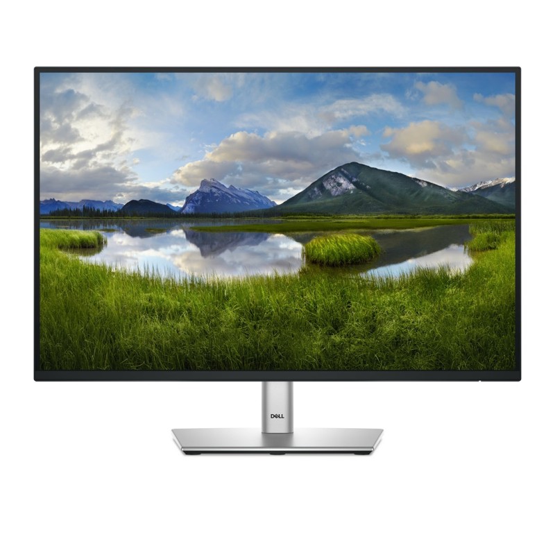DELL P Series P2425 computer monitor 61.1 cm (24.1 DELL P Series P2425 computer monitor 61.1 cm (24.1