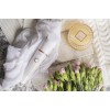 Adler AD 2178 facial cleansing brush Vibrating & rotating brush White Battery Adler AD 2178 facial cleansing brush Vibrating & rotating brush White Battery