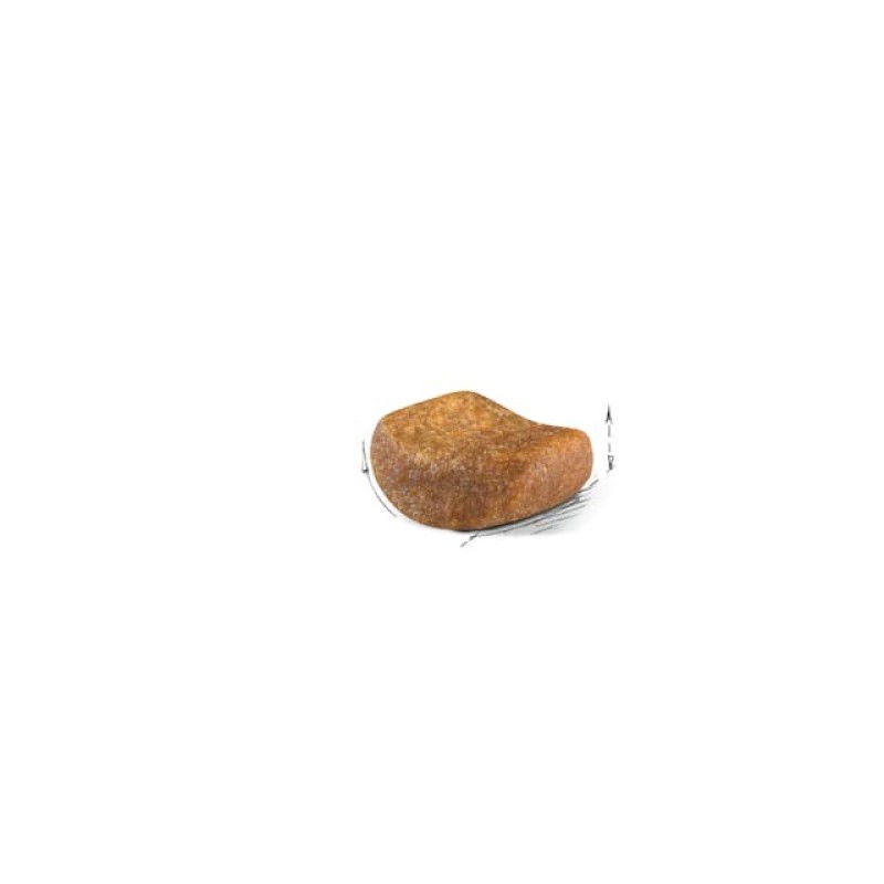 ROYAL CANIN FBN British Shorthair Adult dry cat food - 10 kg ROYAL CANIN FBN British Shorthair Adult dry cat food - 10 kg