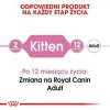 Certech Super Benek Corn Cat - Corn Cat Litter Clumping 25 l Certech Super Benek Corn Cat - Corn Cat Litter Clumping 25 l