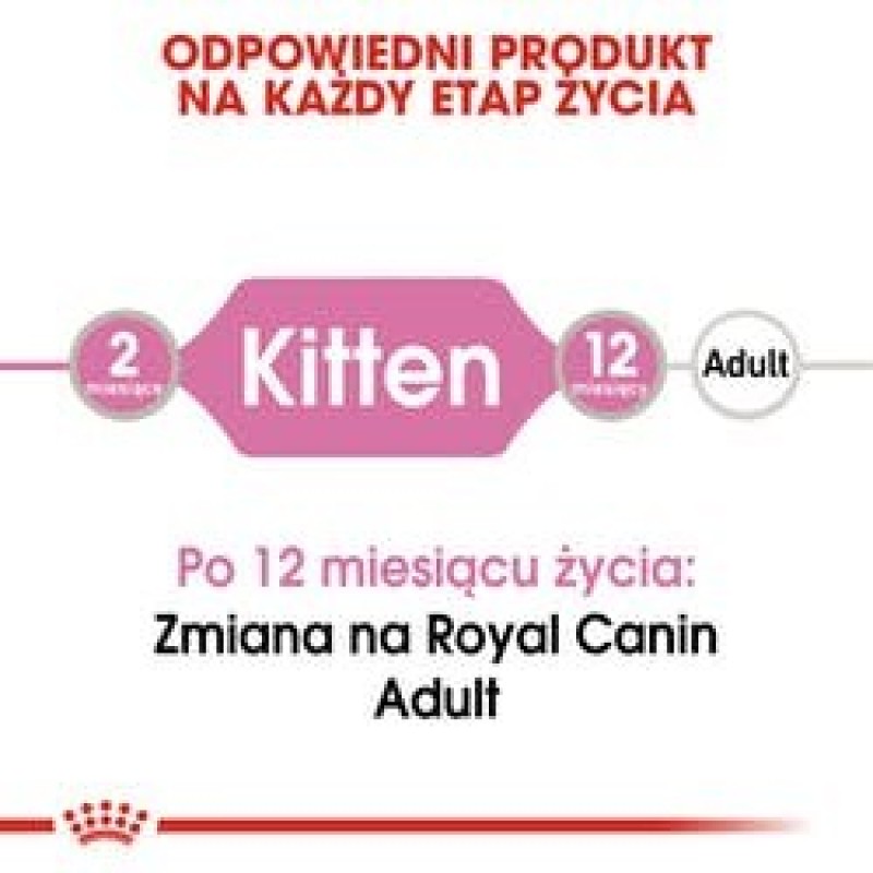 Certech Super Benek Corn Cat - Corn Cat Litter Clumping 25 l Certech Super Benek Corn Cat - Corn Cat Litter Clumping 25 l