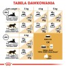ROYAL CANIN Siamese Adult - dry cat food - 2 kg ROYAL CANIN Siamese Adult - dry cat food - 2 kg