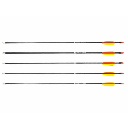 Poe Lang 28’ fibreglass arrows - set of 5 (D-055-B3)