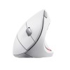Trust Verto Vertical Ergonomic wireless mouse white (25132) Trust Verto Vertical Ergonomic wireless mouse white (25132)