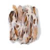 BULT Rabbit ear with fur - dog treat - 10 BULT Rabbit ear with fur - dog treat - 10