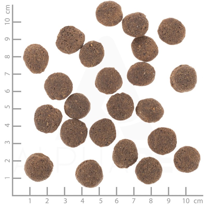 WOLFSBLUT VetLine Hypoallergenic Horse - dry dog food - 12kg