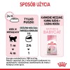 Royal Canin BABYCAT INSTINCTIVE - Wet cat food - 195 g Royal Canin BABYCAT INSTINCTIVE - Wet cat food - 195 g