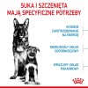 SYTA MICHA Great sausages with rabbit, carrot and dandelion - dog treat - 100g SYTA MICHA Great sausages with rabbit, carrot and dandelion - dog treat - 100g