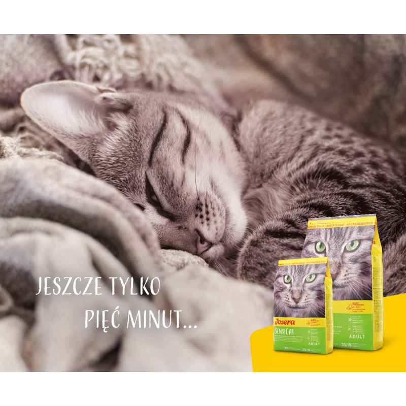 Josera 9510 cats dry food Adult Poultry,Rice 10 kg Josera 9510 cats dry food Adult Poultry,Rice 10 kg