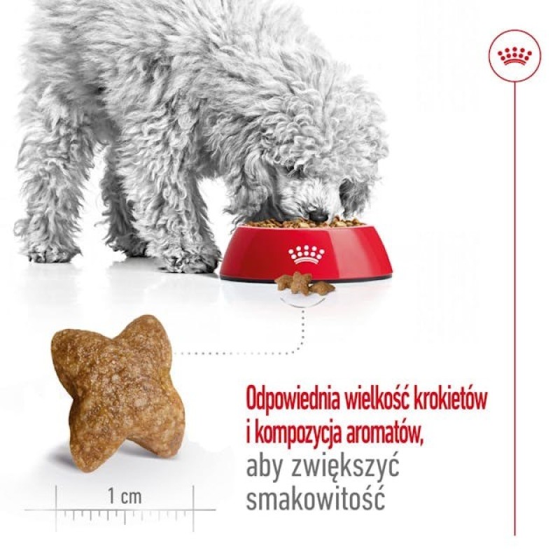 ROYAL CANIN Adult Mini S - dry dog food - 2kg ROYAL CANIN Adult Mini S - dry dog food - 2kg