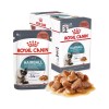 ROYAL CANIN Hairball Care Wet cat food Chunks in sauce 12x85 g