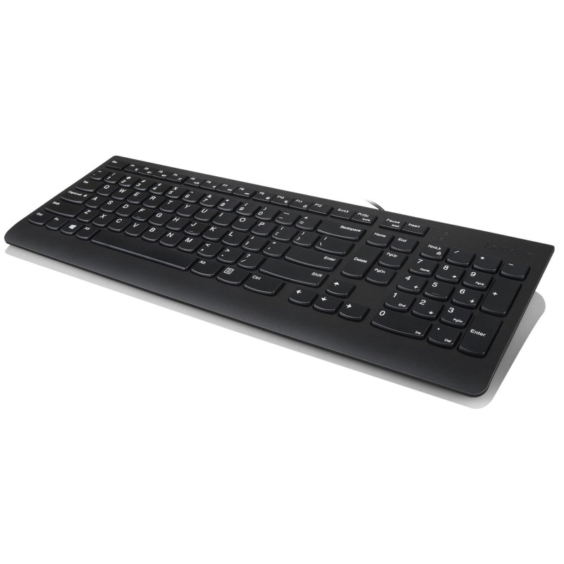 Lenovo 300 keyboard Mouse included Universal USB QWERTY US English Black