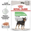 ROYAL CANIN CCN DIGESTIVE CARE LOAF - wet food for adult dogs - 12x85g ROYAL CANIN CCN DIGESTIVE CARE LOAF - wet food for adult dogs - 12x85g