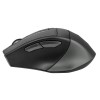 Mouse A4Tech FSTYLER FB35 Wireless 2.4GHz Bluetooth Optical 2000 dpi A4TMYS46716