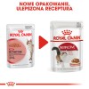 ROYAL CANIN FHN Instinctive - wet pate food for adult cats - 12x 85g