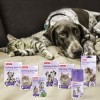 Beaphar spray to alleviate behavioral problems in cats - 125 ml Beaphar spray to alleviate behavioral problems in cats - 125 ml