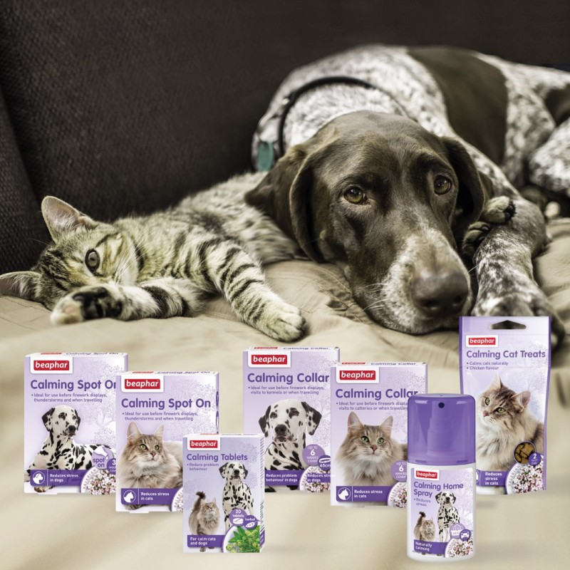 Beaphar spray to alleviate behavioral problems in cats - 125 ml Beaphar spray to alleviate behavioral problems in cats - 125 ml