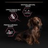 PURINA Pro Plan Sensitive Skin Small & Mini Adult Salmon - dry dog food - 700g PURINA Pro Plan Sensitive Skin Small & Mini Adult Salmon - dry dog food - 700g
