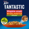 BRIT Care Fillets in Jelly - trout and cod fillets in jelly - wet cat food - 85 g BRIT Care Fillets in Jelly - trout and cod fillets in jelly - wet cat food - 85 g