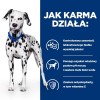 MACED Parma ham bone - dog chew - 330g MACED Parma ham bone - dog chew - 330g