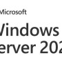 Microsoft Windows Svr CAL 2025 PL Clt User CAL OEM