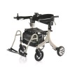 Multiplus electric power walker by Vit