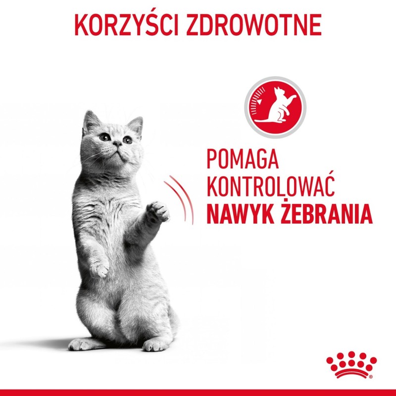 ROYAL CANIN Appetit Control pieces in sauce - wet cat food - 12 x 85g ROYAL CANIN Appetit Control pieces in sauce - wet cat food - 12 x 85g