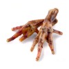 MACED Natura Chicken Lap 300 G