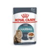 SUPER BENEK Adult Veal - wet cat food - 100 g SUPER BENEK Adult Veal - wet cat food - 100 g
