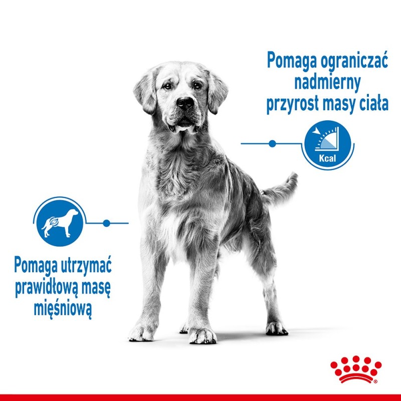 SHN Medium Light Care 3 kg SHN Medium Light Care 3 kg