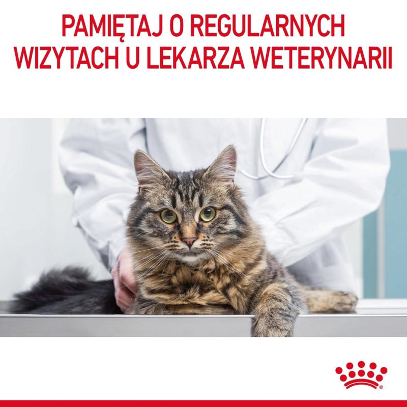 Royal Canin Urinary Care dry cat food 10 kg Royal Canin Urinary Care dry cat food 10 kg