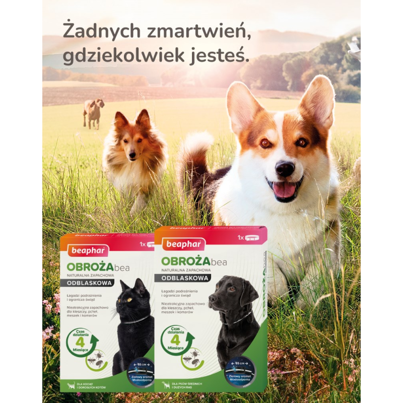CARNILOVE Semi-Moist Snack Sardines & Parsley - Cat treat with sardines and parsley - 50 g CARNILOVE Semi-Moist Snack Sardines & Parsley - Cat treat with sardines and parsley - 50 g