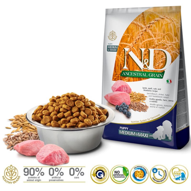 FARMINA N&D Ancestral Grain Puppy Medium&Maxi Lamb - dry dog food - 12 kg FARMINA N&D Ancestral Grain Puppy Medium&Maxi Lamb - dry dog food - 12 kg