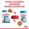 TASTE OF THE WILD Pine Forest - dry dog food - 5,6 kg TASTE OF THE WILD Pine Forest - dry dog food - 5,6 kg