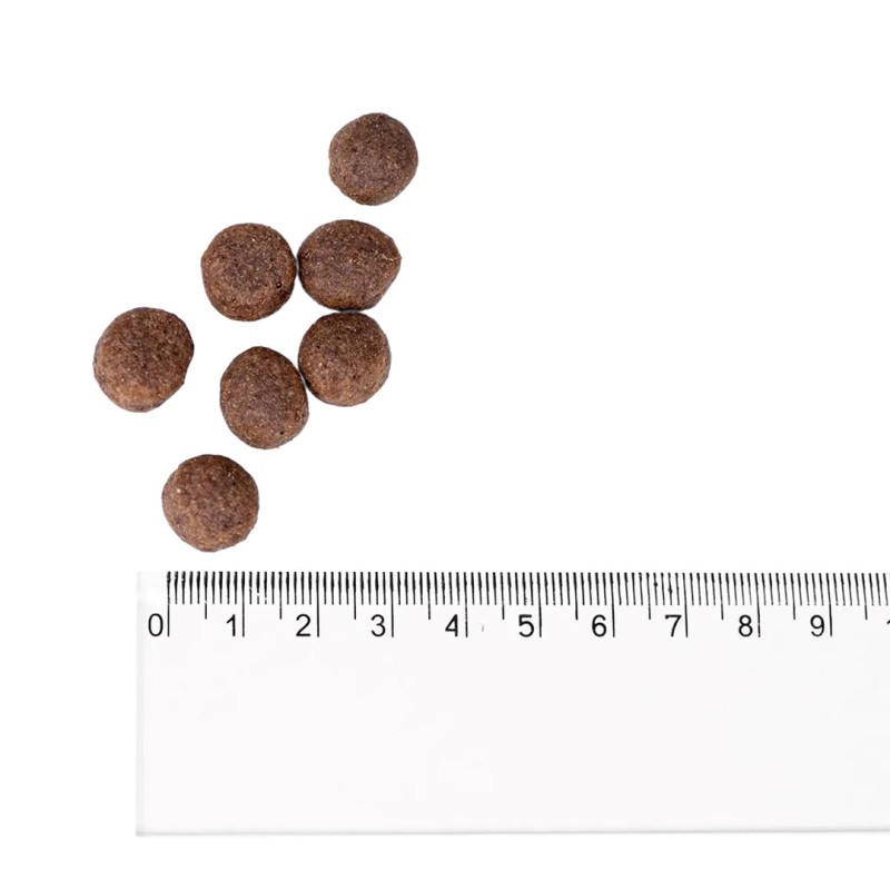 BULT Turkey - dry dog food - 3kg