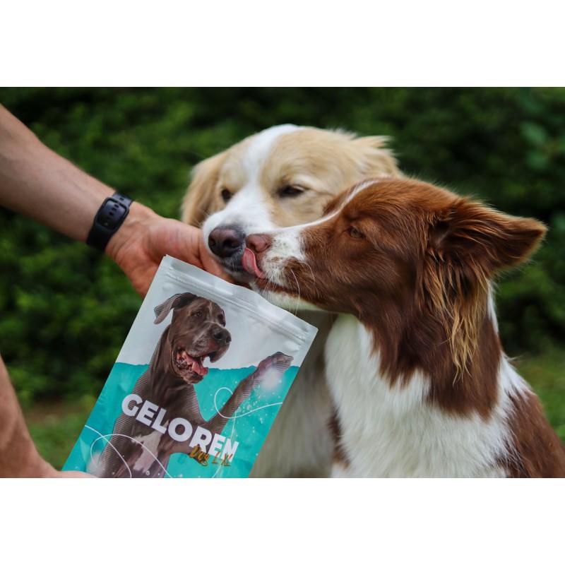 GELOREN Large dog Joints - dog vitamins - 420g GELOREN Large dog Joints - dog vitamins - 420g