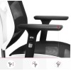 Diablo V-BASIC gaming chair white and black Diablo V-BASIC gaming chair white and black