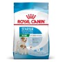 ROYAL CANIN SHN Mini Starter Mother & Babydog - dry dog food - 4 kg