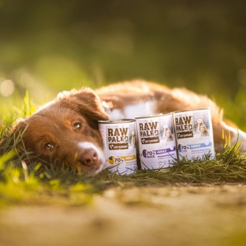 VETEXPERT RAW PALEO Adult Monoprotein Cod - wet dog food - 400 g VETEXPERT RAW PALEO Adult Monoprotein Cod - wet dog food - 400 g