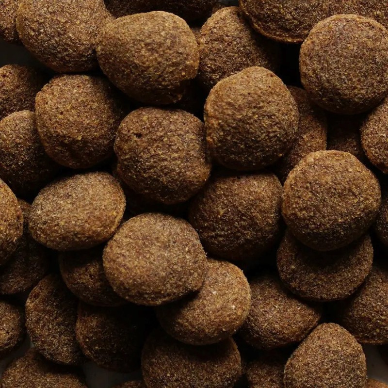 BIOFEED Nasz Pies medium & large Beef - dry dog food - 15kg BIOFEED Nasz Pies medium & large Beef - dry dog food - 15kg